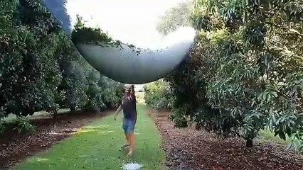 Il nous montre l'utilité des filets anti grêle...