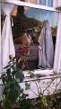 Derpdoggo tries getting the water through window