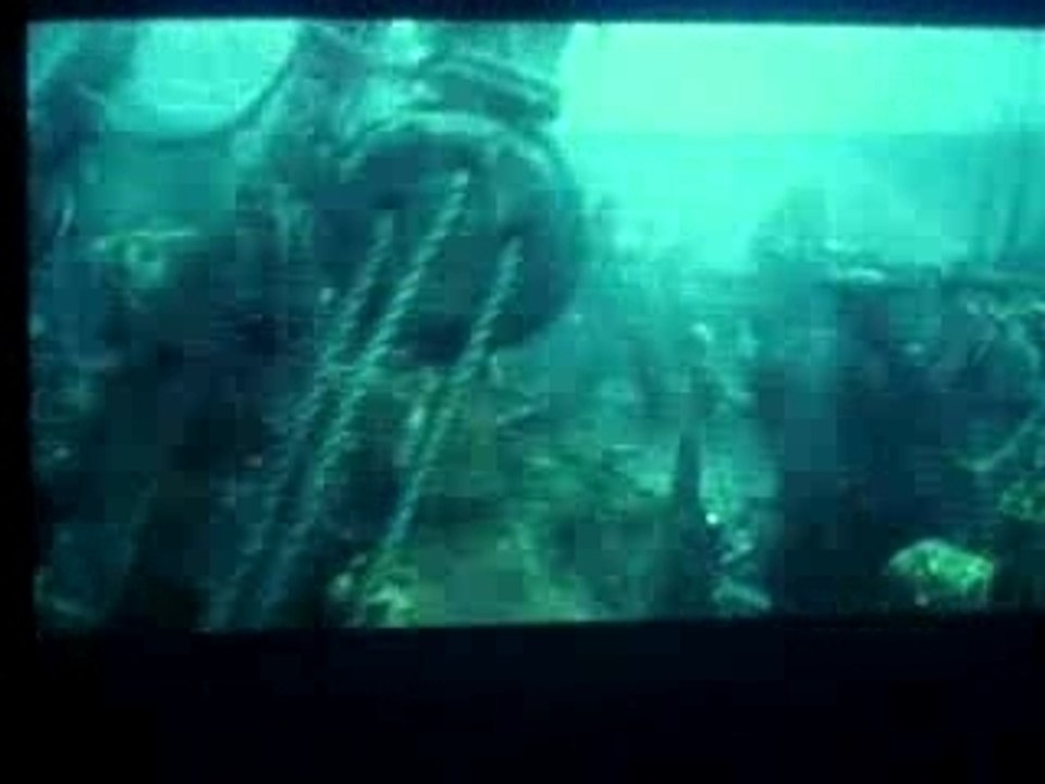 MOV04451