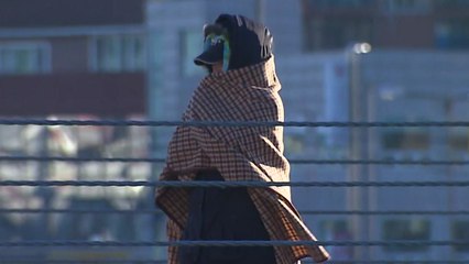 [날씨] 내일 비 그친 뒤 기온 '뚝'...월요일 반짝 추위 / YTN