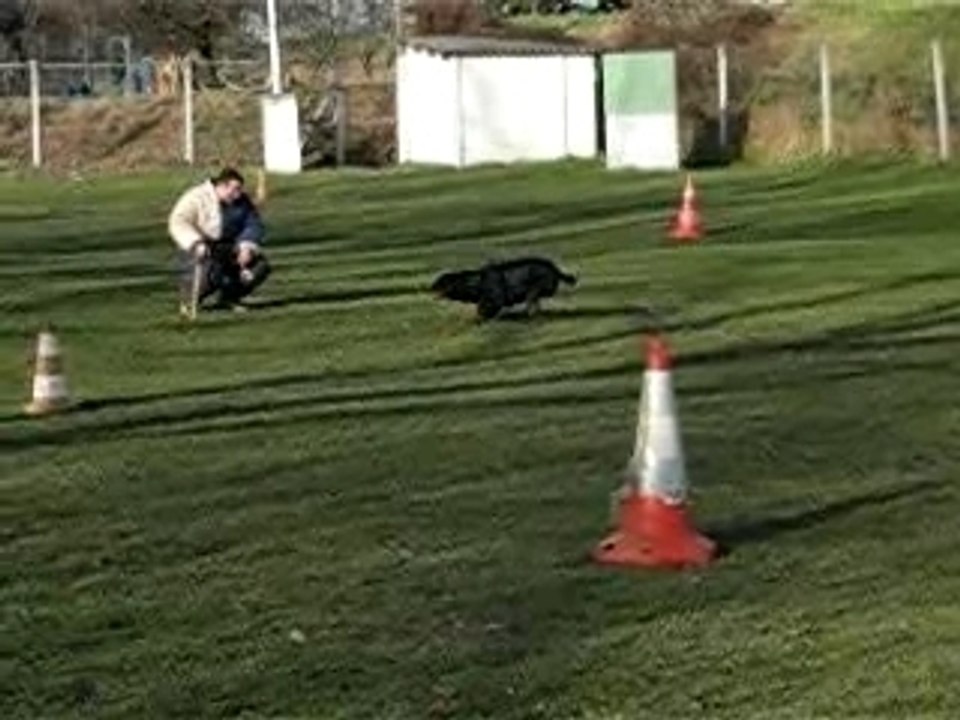 Callyane fuyante et qui n'en fait qu'à sa tête