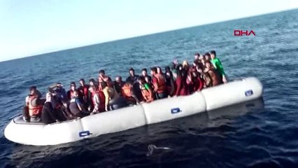 Türkiye olmasaydı aylan bebeklerin sayısı yüzbinlerce olurdu?