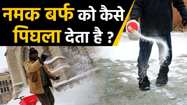 How Does Salt Melt Ice ? Watch Video | नमक बर्फ को कैसे पिघला देता है ? | वनइंडिया हिंदी