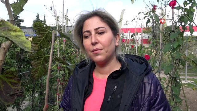 Dut Ağacı Aşılama Tekniğiyle Kasım Ayında Meyve Verdi