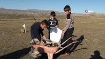 Sivas'ta Öğrenciler Ara Tatilde 'Kışlık Tezek' Toplayarak Aile Ekonomisine Katkı Sağlıyor