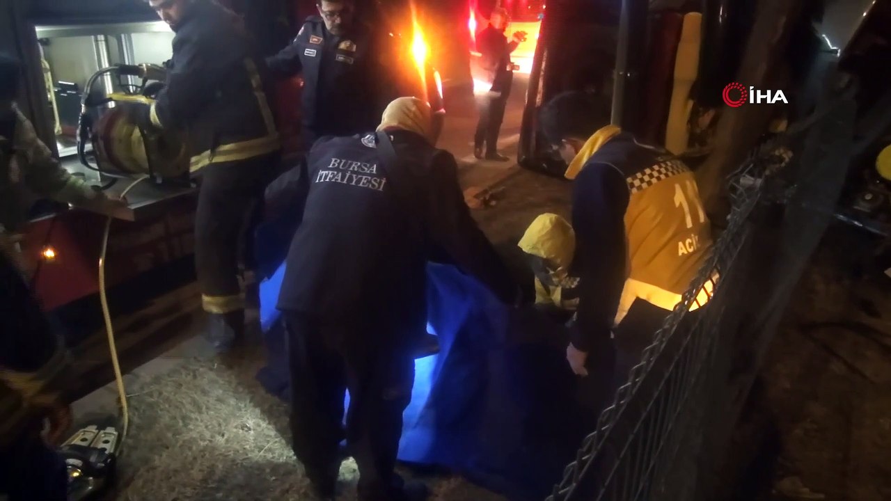 Bursa Orhangazi'de Trafik Kazası, Ağaca Çarpan Sürücü Hayatını Kaybetti