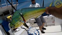My First Offshore Fishing Adventure - Florida Fish Hunter