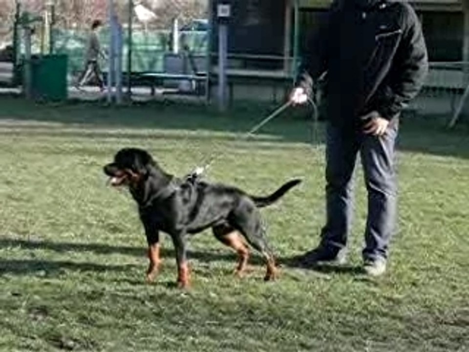 Callyane qui attend son tour