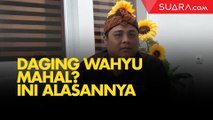 Terungkap, Ini Alasan Daging Wagyu Sangat Enak dan Harganya Mahal