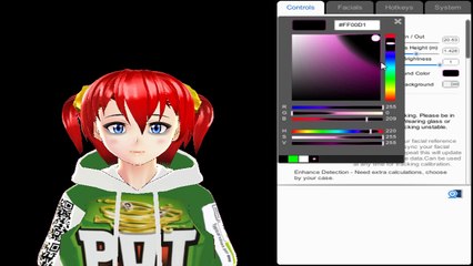 How to be a VTuber using just a webcam and free software (wakaru)