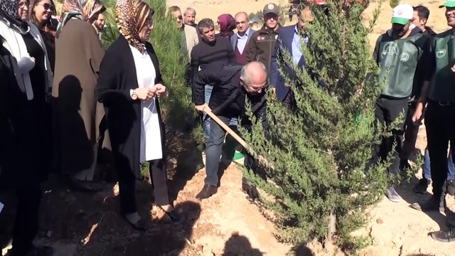 'Bir Dünya Kadın Hatıra Ormanı' - MARDİN