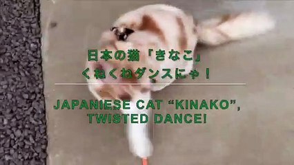 TWISTED DANCE!