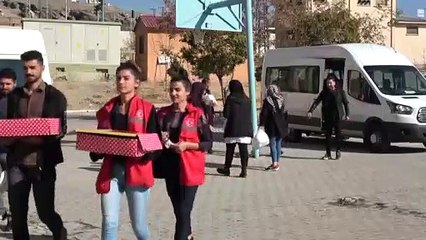 Gençlik merkezi gönüllüleri öğretmelere karanfil dağıttı - VAN