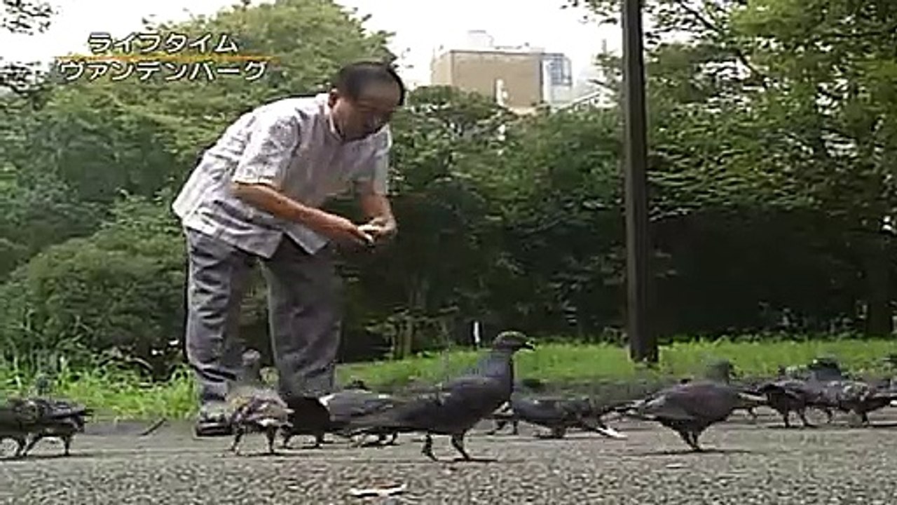 鳩から 2万