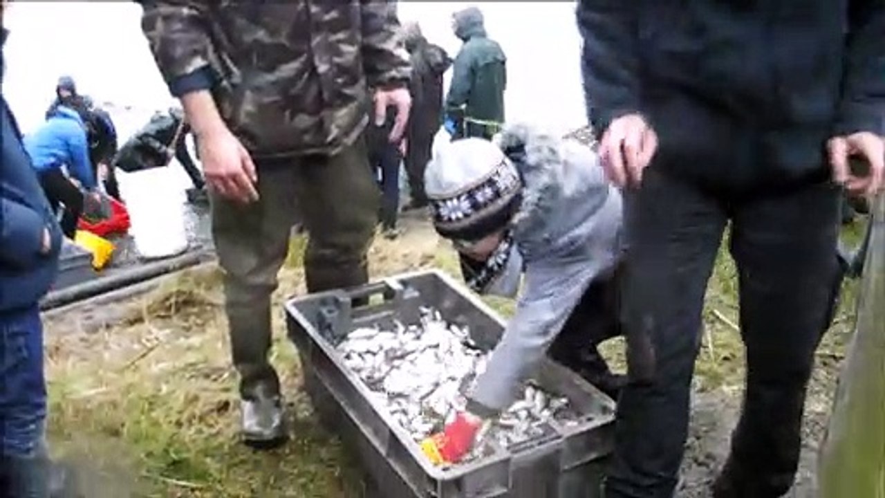 Plus de deux tonnes de poissons ont été pêché à l'étang David