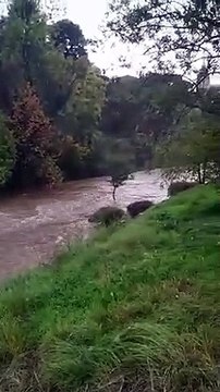 Intempéries : à Aubagne, l'Huveaune à son niveau maximal