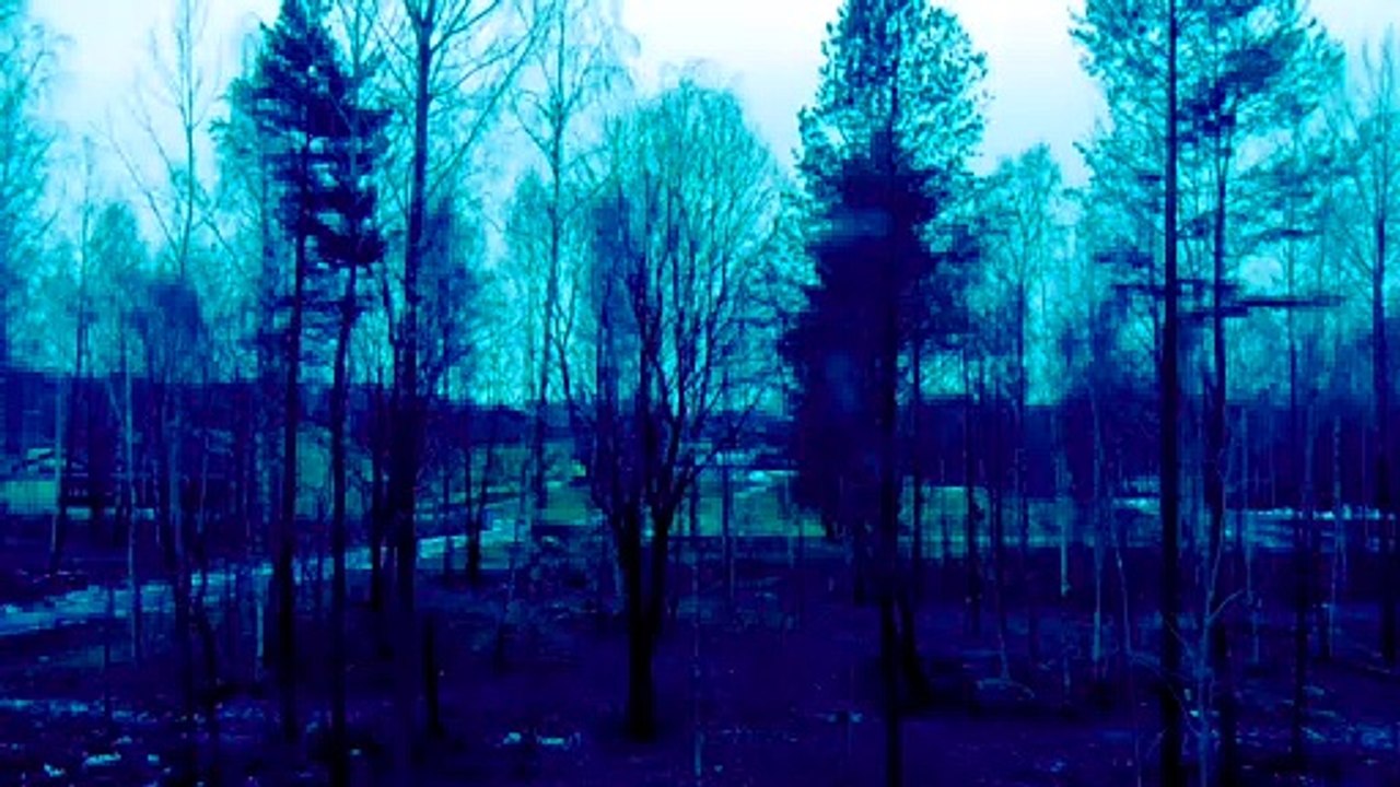 Nov 13 2019 DL4