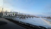 3000 rennes bloquent une route au milieu des voitures !