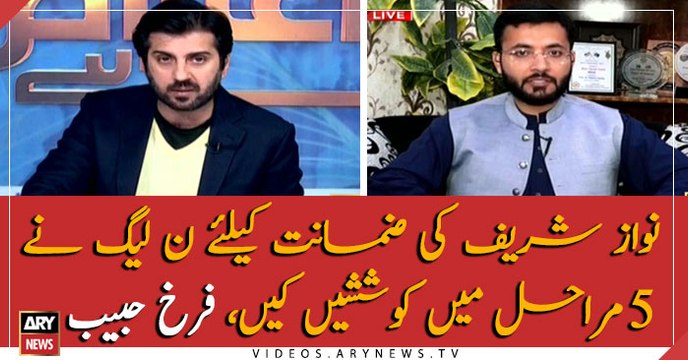 PML-N made efforts for Nawaz's bail in five phases: Farrukh Habib