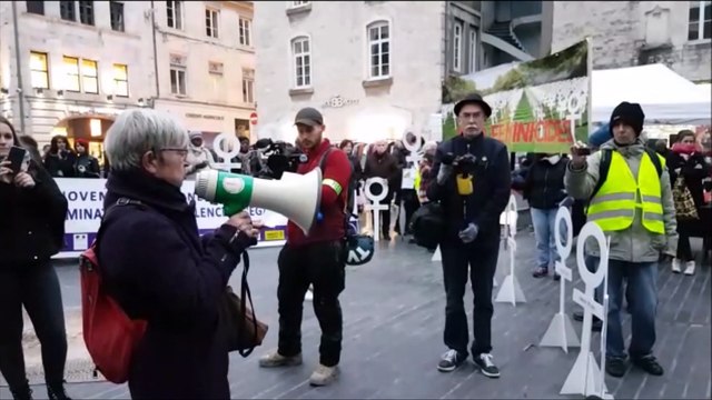 Plusieurs centaines de manifestants pour dénoncer les violences faites aux femmes à Besancon