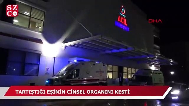 Tartıştığı kocasının cinsel organını kesti