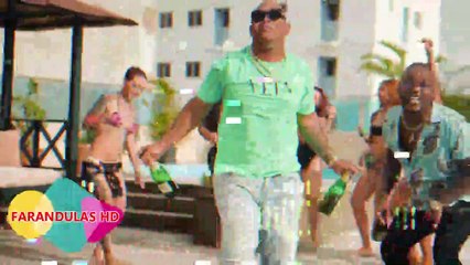 MUSICOLOGO PONE EN SU PUESTO A FANATICO FUSTRADO - EL ALFA NO METERCE EN LA VIDA DE LOS DEMAS