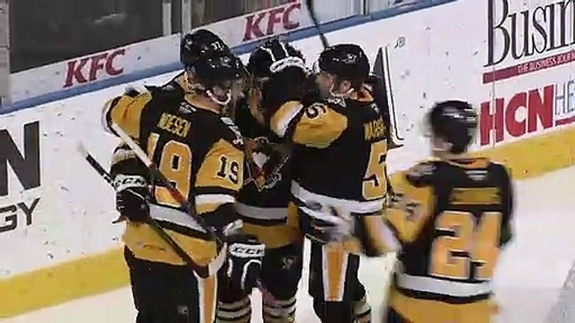Springfield Thunderbirds vs Wilkes-Barre Scranton Penguins 11.22.19 Highlights