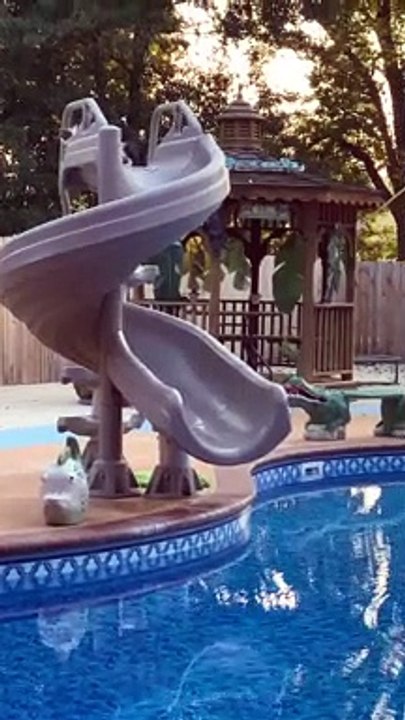 Curious Kitty Regrets Getting on Slide