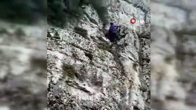 Mahsur kalan keçiler AFAD tarafından kurtarıldı