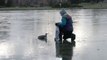 Il tente de sauver un canard piégé sur la glace