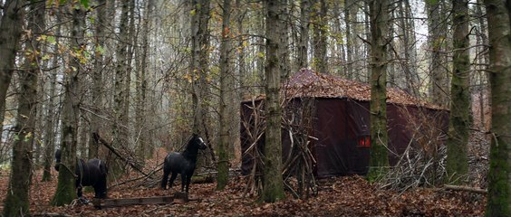 Judy & Punch Movie starring Mia Wasikowska and Damon Herriman