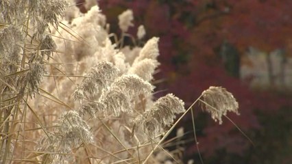 [날씨] 휴일 흐리고 비 조금...내일 영하권 추위 / YTN
