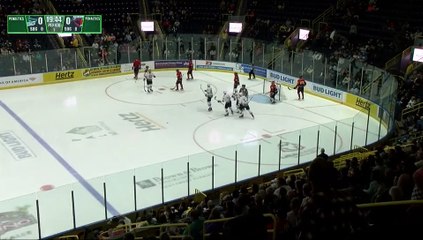 Game Recap - South Carolina Stingrays at Florida Everblades