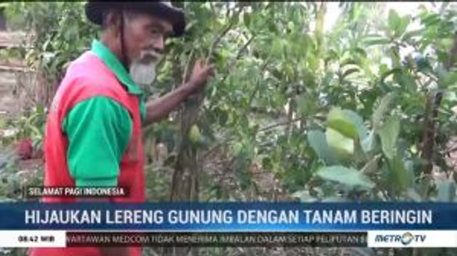 Seorang Kakek Selama 23 Tahun Tanam Beringin di Lereng Gunung Lawu