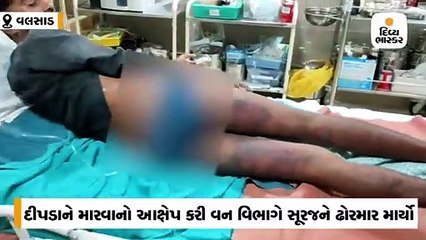 દીપડાને માર્યો હોવાની શંકા રાખી વનવિભાગે ઢોરમાર માર્યો, કંટાળીને સૂરજે કચેરીના બાથરૂમમાં જ એસિડ ગટગટાવ્યું
