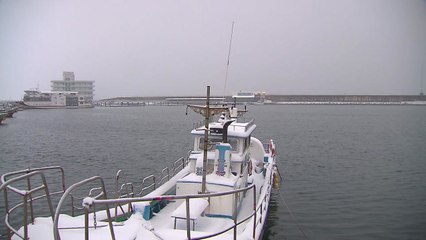 [날씨] 비 그치고 기온 '뚝'↓...수도권 한파주의보 / YTN