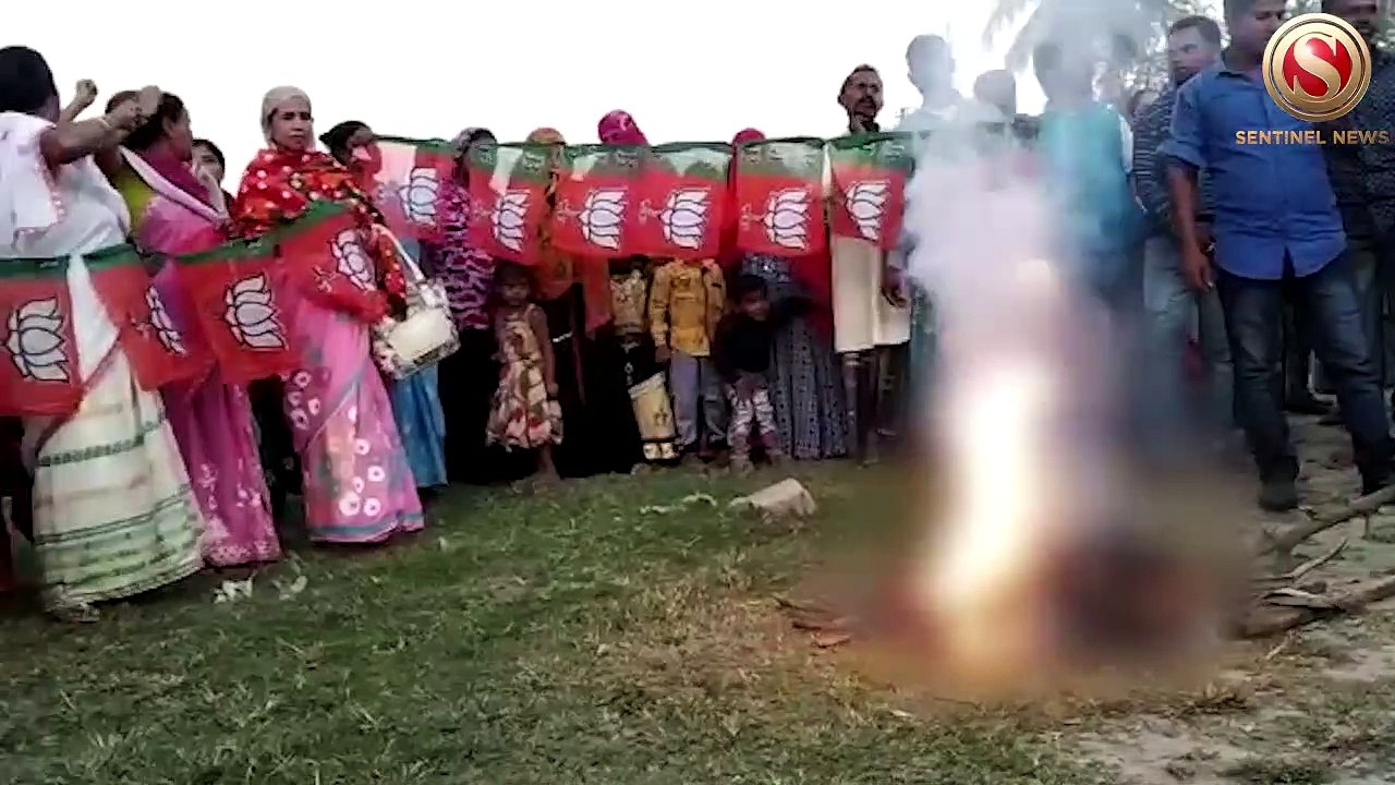 Watch  Lahorighat BJP Mandal President's effigy burnt by party members