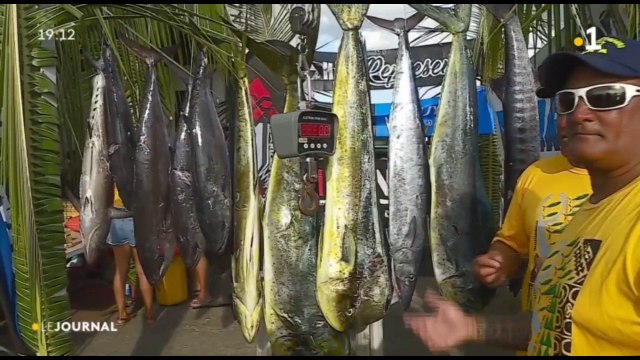 Concours de pêche sous-marine en haute mer