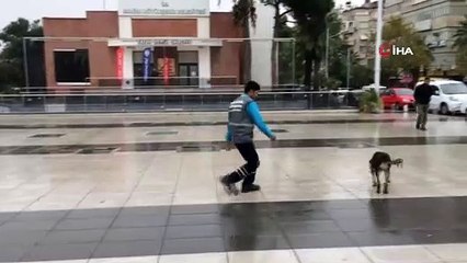 Temizlik işçisi ile sokak köpeğinin tebessüm ettiren dostluğu