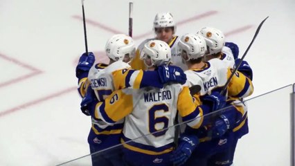 Highlights: Blades (2) at Thunderbirds (3)