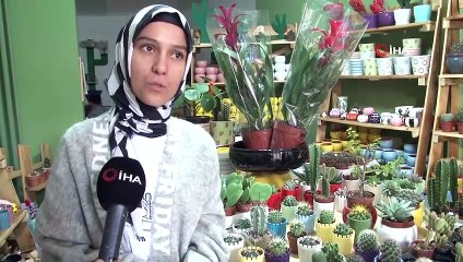 Bu aile kendilerini ‘Kaktüs Delisi’ olarak tanımlıyor