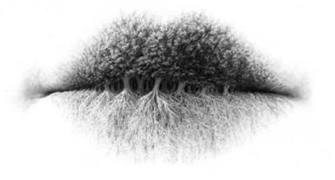 Ce que vous voyez en premier révèle beaucoup de choses sur votre personnalité