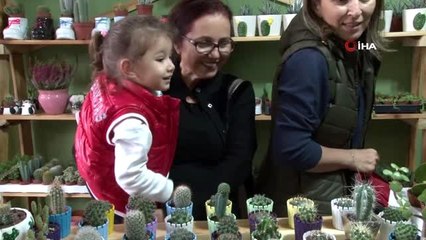 Bu aile kendilerini 'Kaktüs Delisi' olarak tanımlıyor