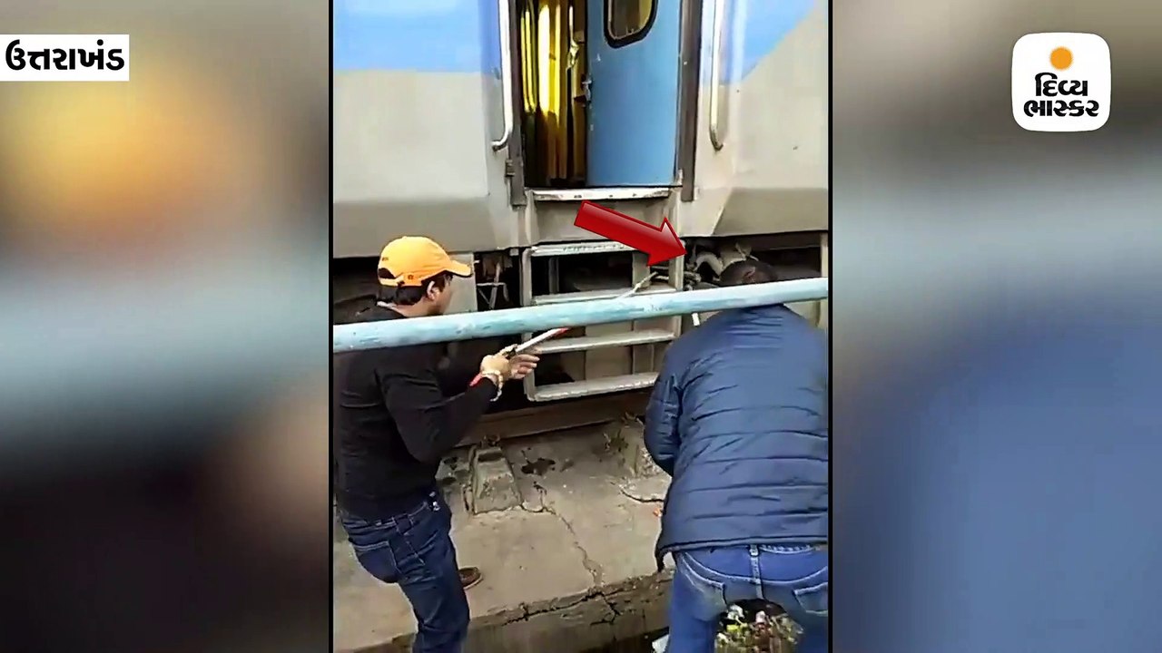 સુપર ફાસ્ટ ટ્રેનમાંથી 10 ફૂટ લાંબો કોબરા રેસ્ક્યુ કરાયો, વાઈરલ થયો વીડિયો