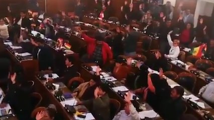 Bolivia aprueba la ley para la celebración de elecciones