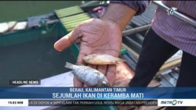 Pemilik Keramba di Berau Resah dengan Dugaan Tercemarnya Sungai Segah