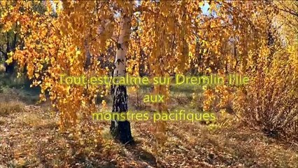 Dragon Quest par Julien