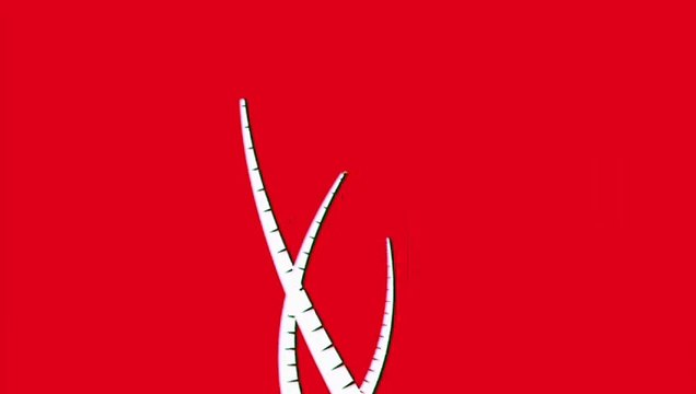 Super Island - czolowka i tylowka