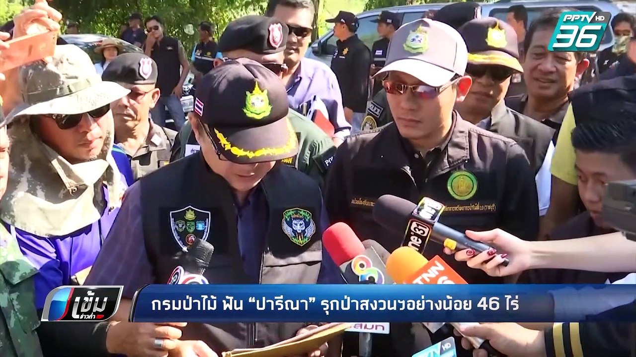 กรมป่าไม้ ฟัน “ปารีณา” รุกป่าสงวนฯอย่างน้อย 46ไ...