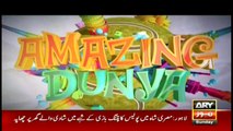 Amazing Dunya | ARYNews | 24 November 2019